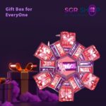 Premium Gift Box - SGRS1